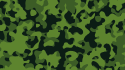 (1372) Camouflage - Wald (grün-schwarzes Muster)